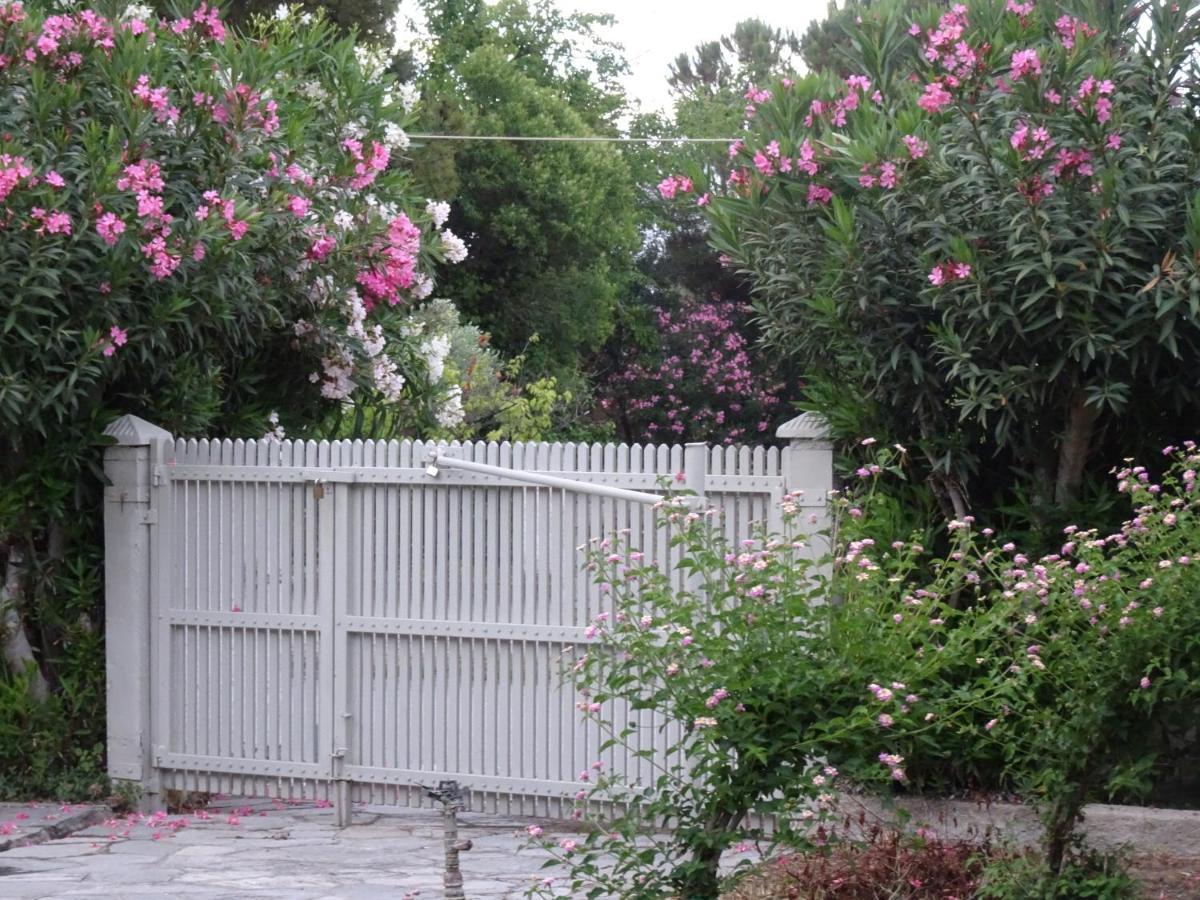 Spitaki Villa Пефкохори Екстериор снимка